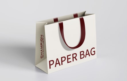 White paper bag